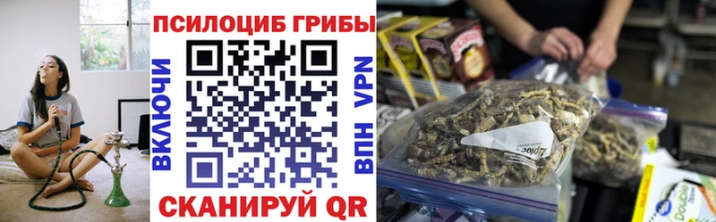закладки  Углич  Псилоцибиновые грибы ЛСД 